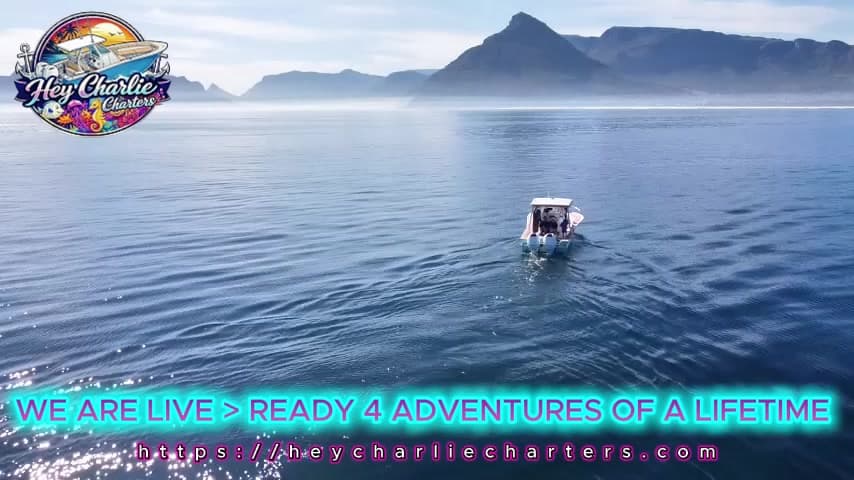 The Hey Charlie Experience